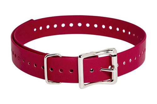 SPORTDOG BRAND� 1" RED COLLAR STRAP UPC: 729849108226