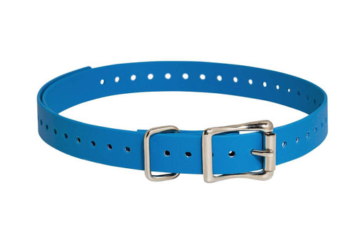 SPORTDOG BRND 3/4" BLUE COLLR STRAP UPC: 729849119215