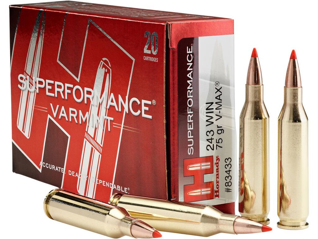 Hornady Superformance V-Max Case Ammo