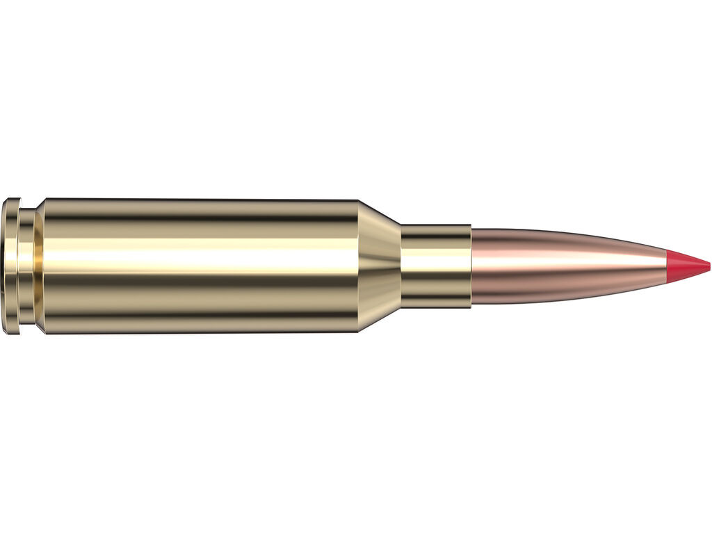 Hornady Custom CX Case Ammo