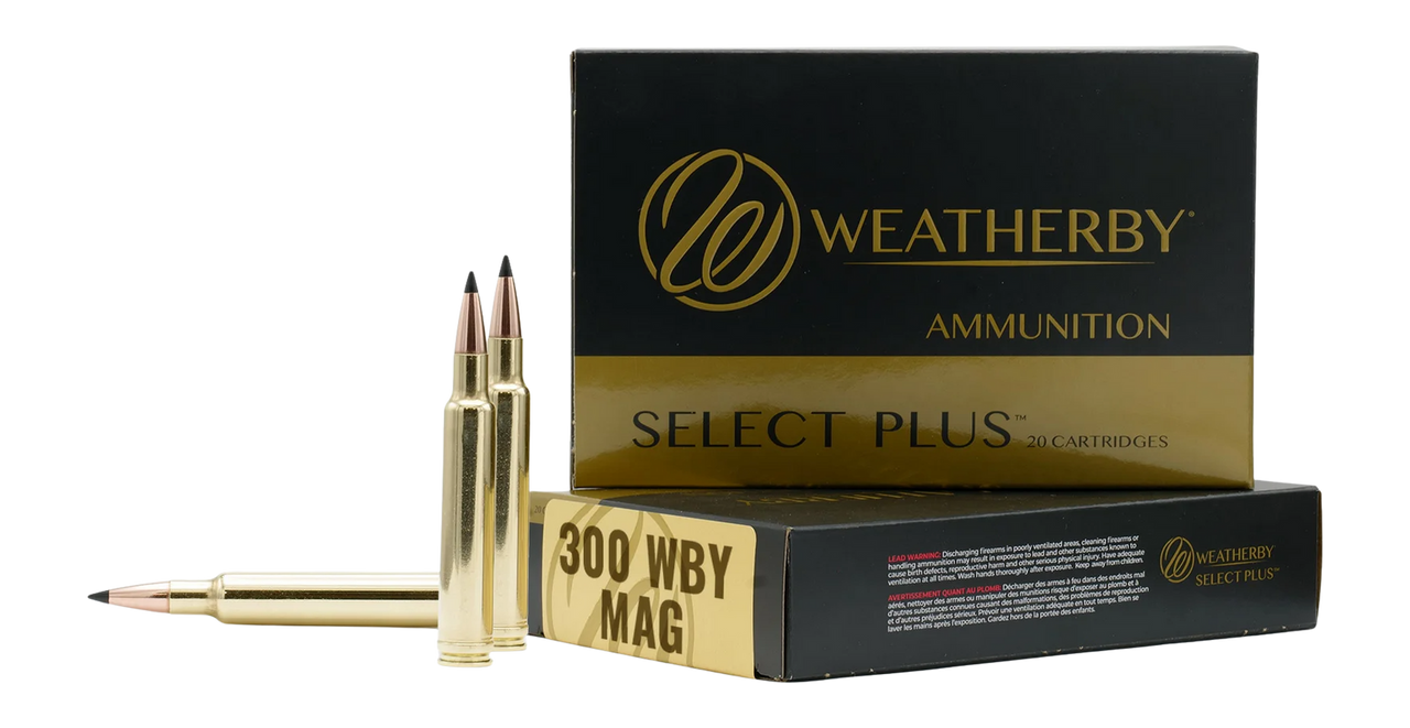 .300 Wby Mag - WTHBY Hammer