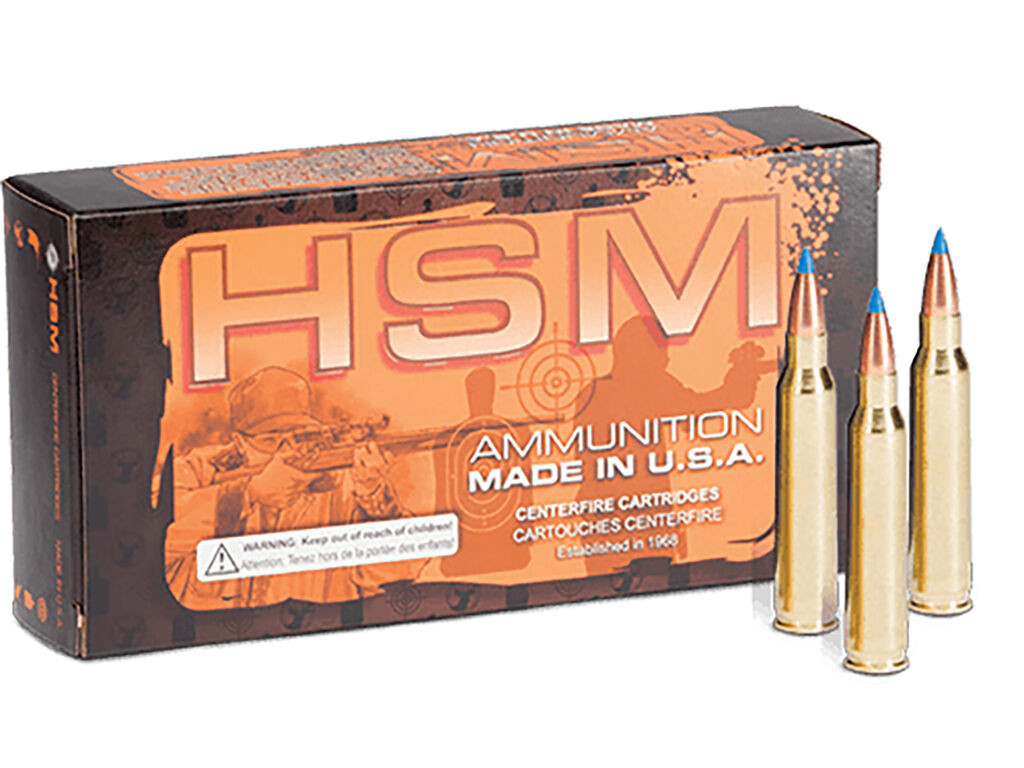 204 Ruger Ammo - HSM BlitzKing Case HSM BlitzKing Case Ammo