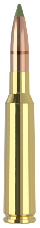 Nosler Expansion Tip Case Ammo