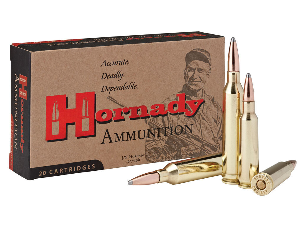 Hornady Custom InterLock Spire Point Case Ammo