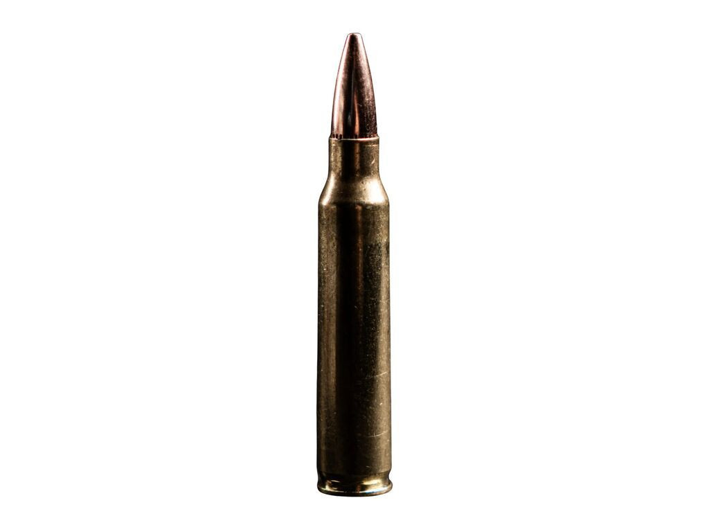Atomic HPBT Ammo