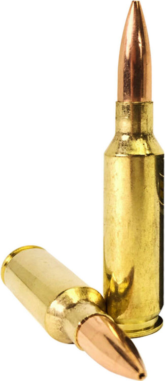Armscor HPBT Ammo