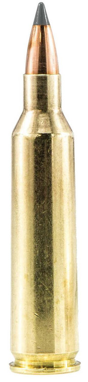 Elite Performance Varmint & Predator Ammo