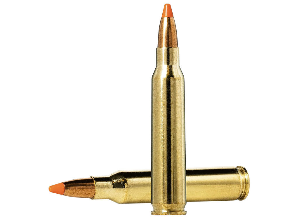 Norma Dedicated Hunting Varmint Polymer Tip Case Ammo