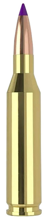 243 Win Ammo - Nosler Ballistic Tip Varmint Nosler Ballistic Tip Varmint Ammo
