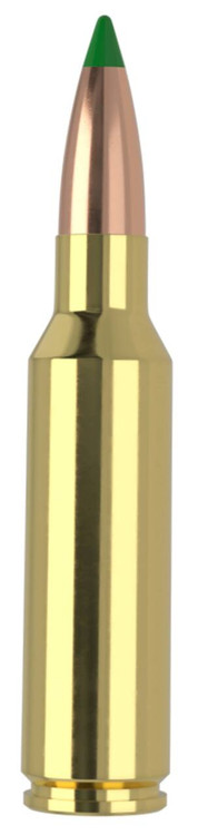Nosler Ballistic Tip Ammo