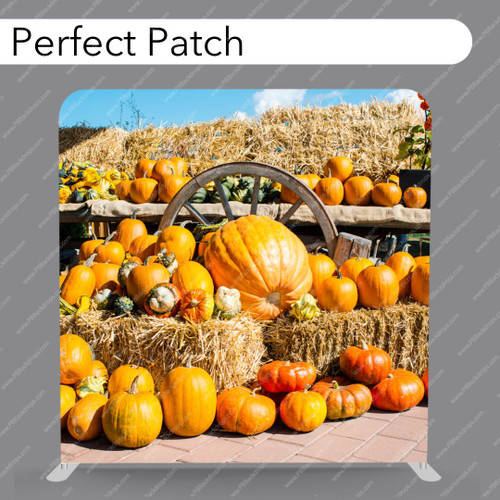 Pillow Cover Backdrop (Perfect Patch)