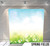 Pillow Cover Backdrop  (Spring Fields)