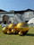 Inflatable Balls
