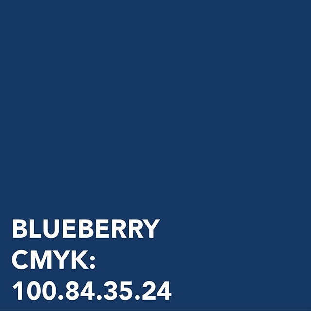 Blueberry