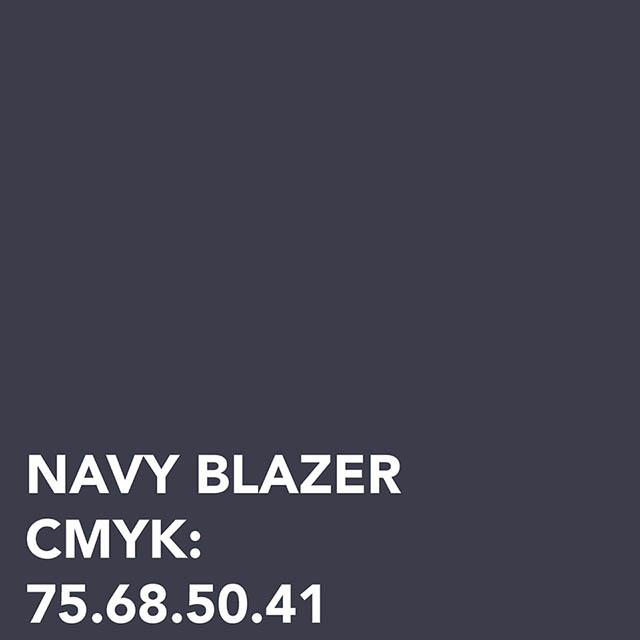 Navy Blazer