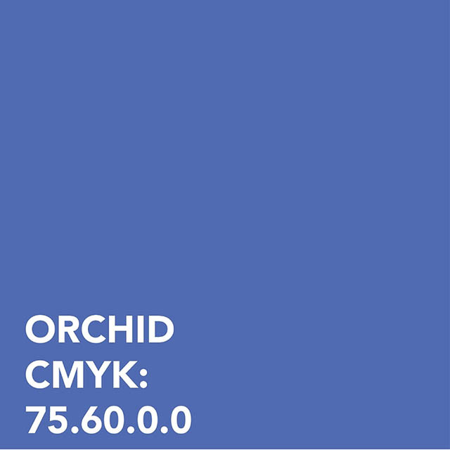 Orchid