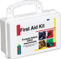OSHA Compliant First Aid Kits ~ 10 Person, 62 Piece Bulk Kit, Plastic Case with Dividers