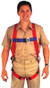 Eagle Harness Medium Size - General Appearance