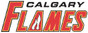 Calgary Flames Hard Hats