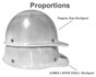 Proportions, large shell vs normal size.