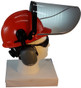 MSA V-Gard Cap Style hard hat with Clear Aluminum Bound Edges Faceshield, Hard Hat Attachment, and Earmuff - Orange - Up Position