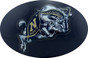 Navy Midshipmen hard hats