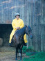Riding Coat Yellow 60 inch length Rain Coat, 35 Mil - Size 2XL