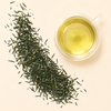 Gyokuro is one of Japan’s most treasured green teas, known for its rich, smooth flavor and beautiful deep green leaves. This shade-grown Japanese green tea is covered from the sun for several weeks before harvest, allowing the tender spring leaves to develop more depth, sweetness, and complexity.

The result is a refined cup with a silky body, soft vegetal sweetness, and delicate savory notes. Our Gyokuro offers aromas of buttered greens, fresh spring growth, and a gentle seaweed-like umami character, without harshness or grassy bitterness.

Smooth, elegant, and deeply satisfying, Gyokuro is best enjoyed with slightly cooler water and careful steeping. For the best experience, re-steep the leaves multiple times and enjoy how the flavor opens with each infusion.