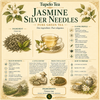 Jasmine Silver Needles