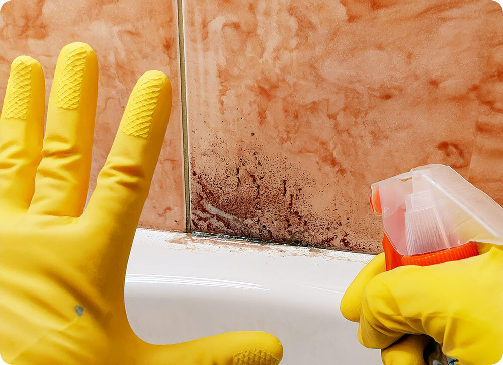 Never Use Bleach to Kill Mold