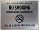 No Smoking Sign Brush Silver