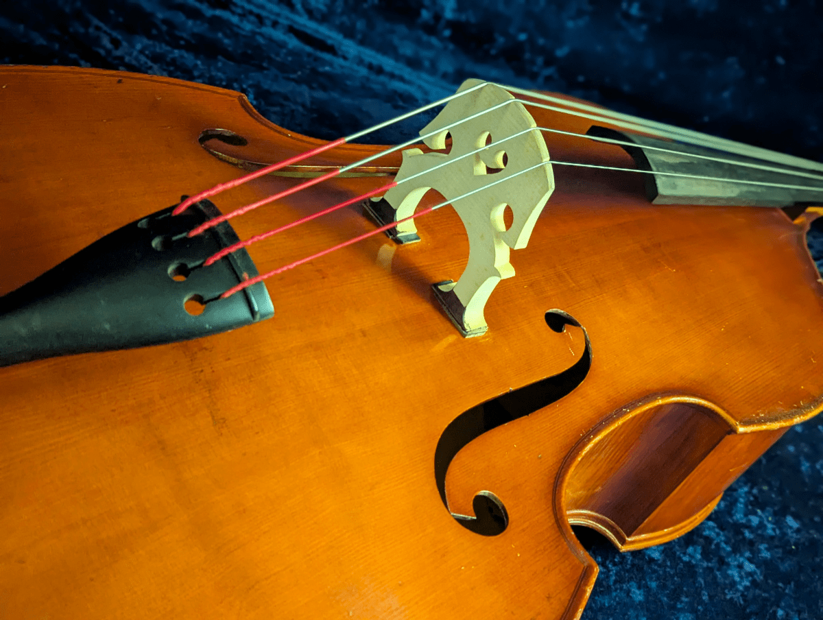 String Bass