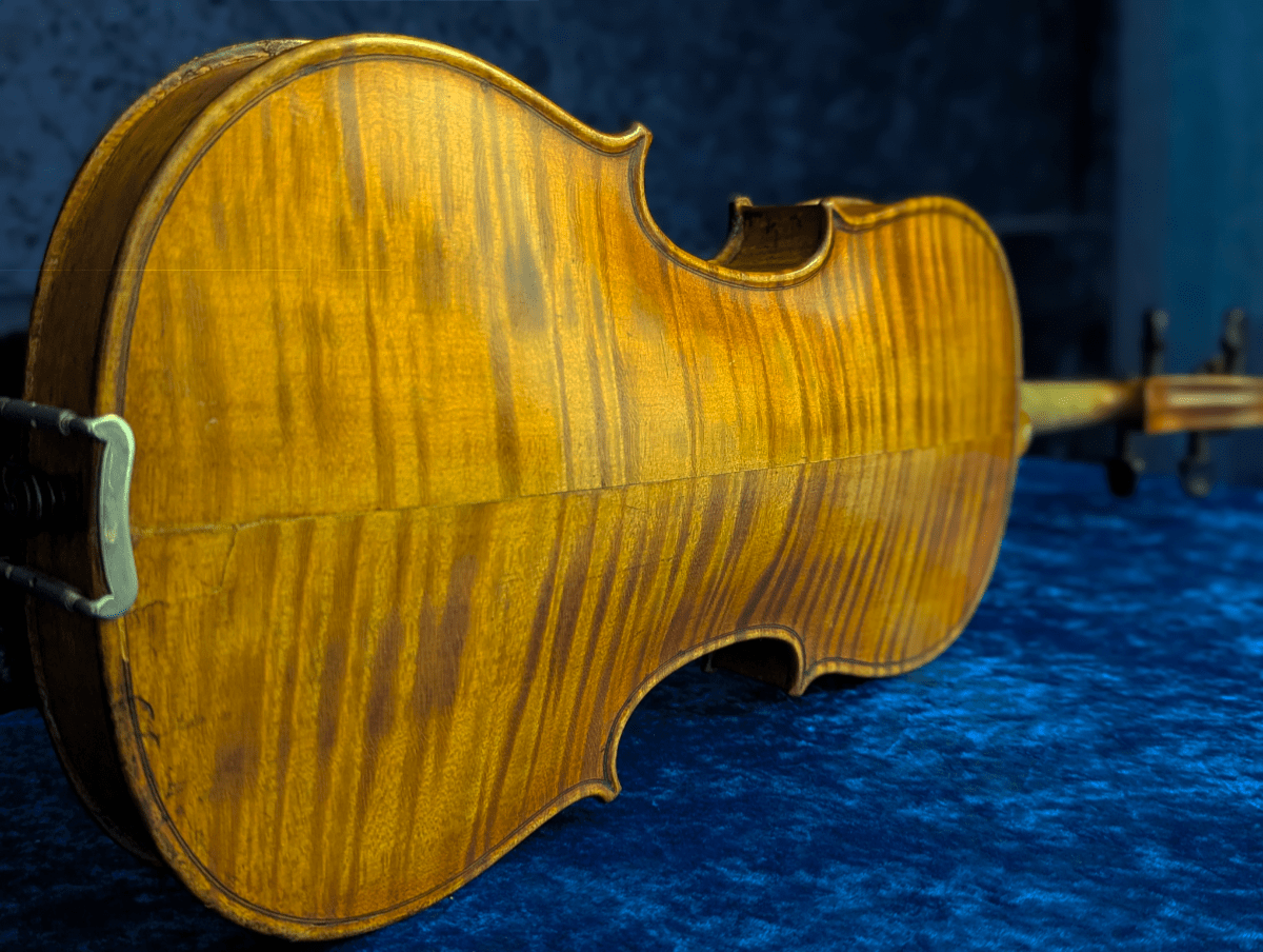 Violas