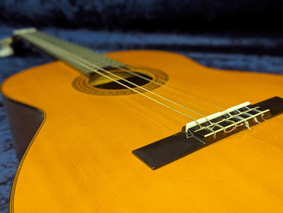 Acoustic Guitars