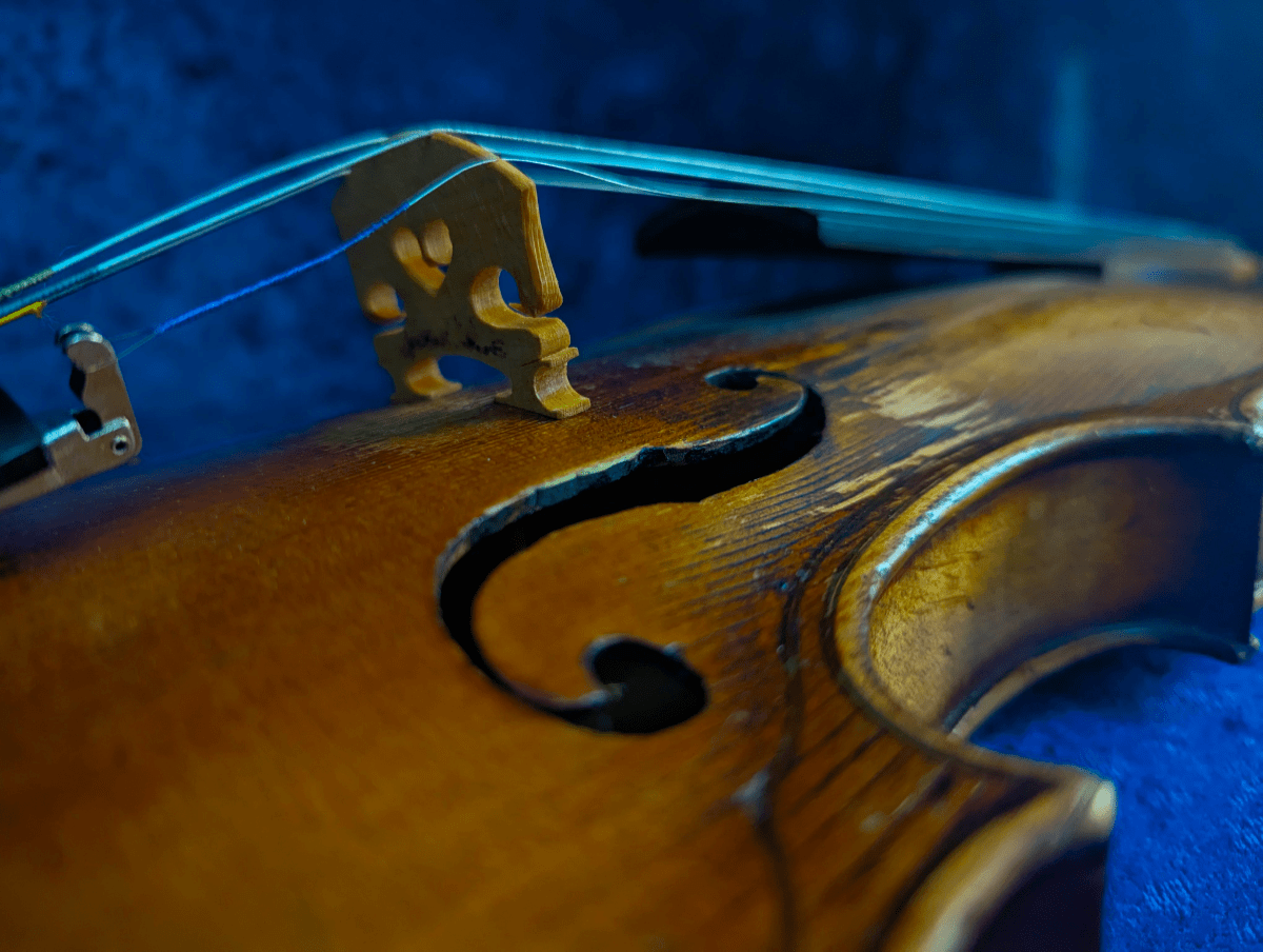 Violins