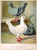 Antique Pigeon Prints c1884 Images x 30 Size A4, Hi-Res. 300dpi.