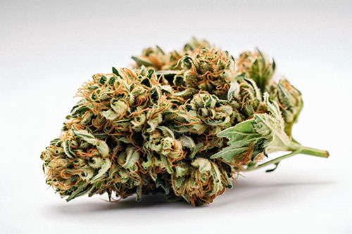 THCA Flower in Athens