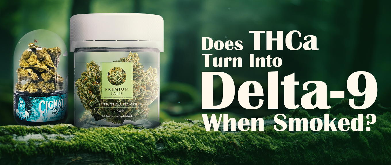 Does THCa Turn Into Delta-9 When Smoked?