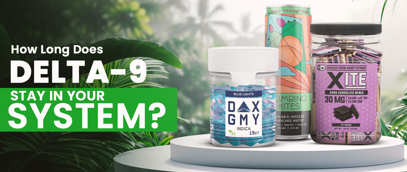 How Long Does Delta-9 Gummies Last In Your System How Long Does Delta 9 Stay in System?