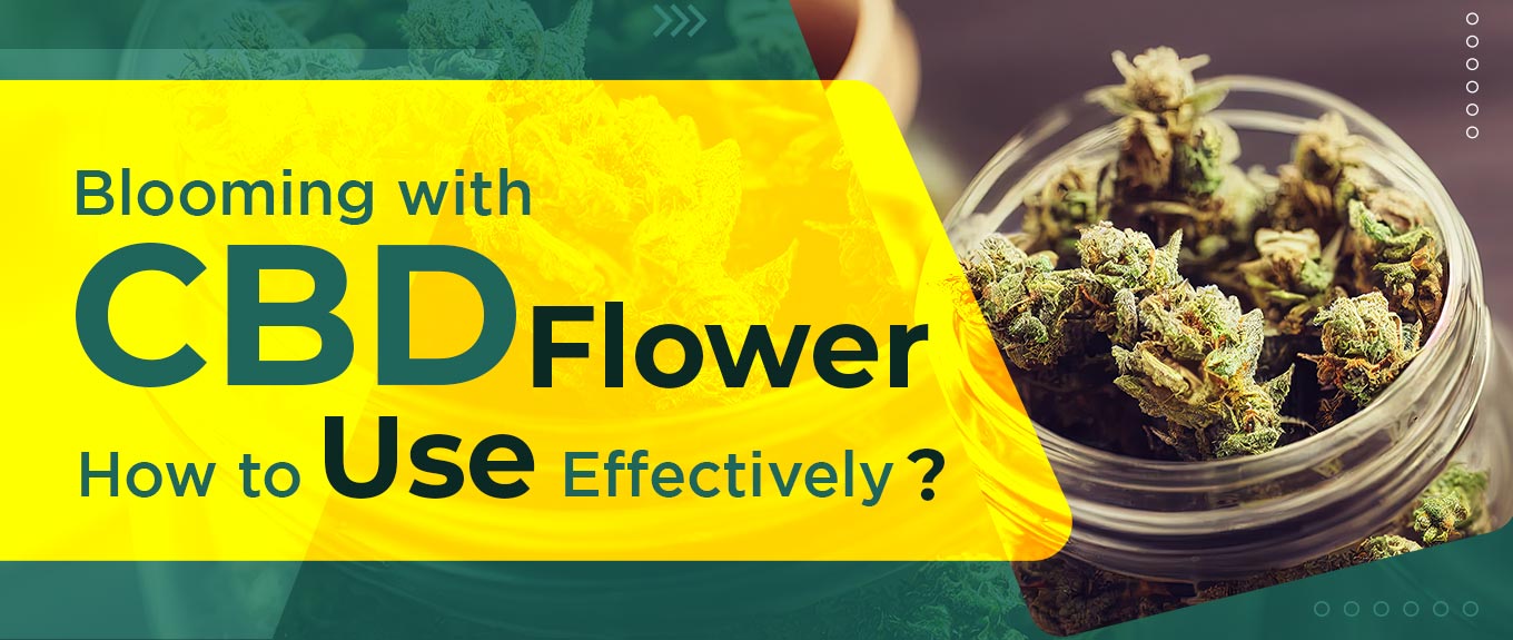 A Complete Guide On How To Effectively Use CBD Flowers