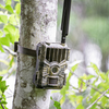 Simply a better Trail Camera. WiseEye SmartCam trail and game camera.