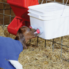 Premier 1 Lamb 'N' Kid Orphan Feeding Bucket 564806Z