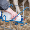 Premier 1 Wide Mouth Lamb 'N' Kid Feeding Bottle 562700