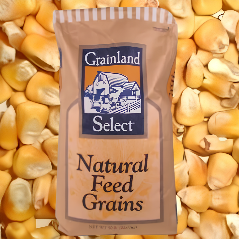 Grainland Select® Whole Corn – 50lb Bag