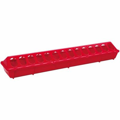 Flip Top Poultry Chick Feeder