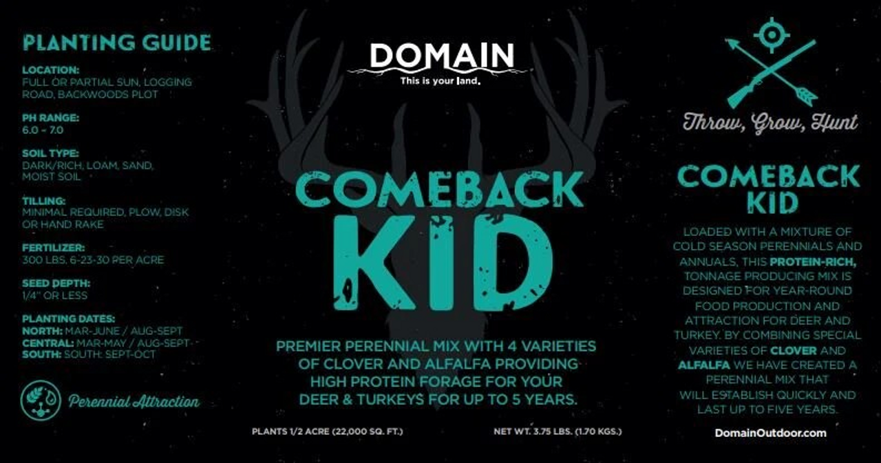 Domain Comeback Kid™ 3.75lb