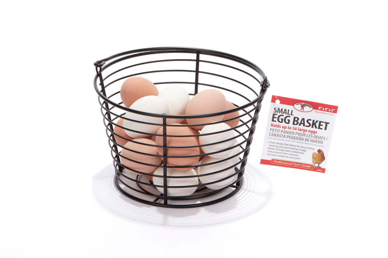 Small Wired Egg Basket