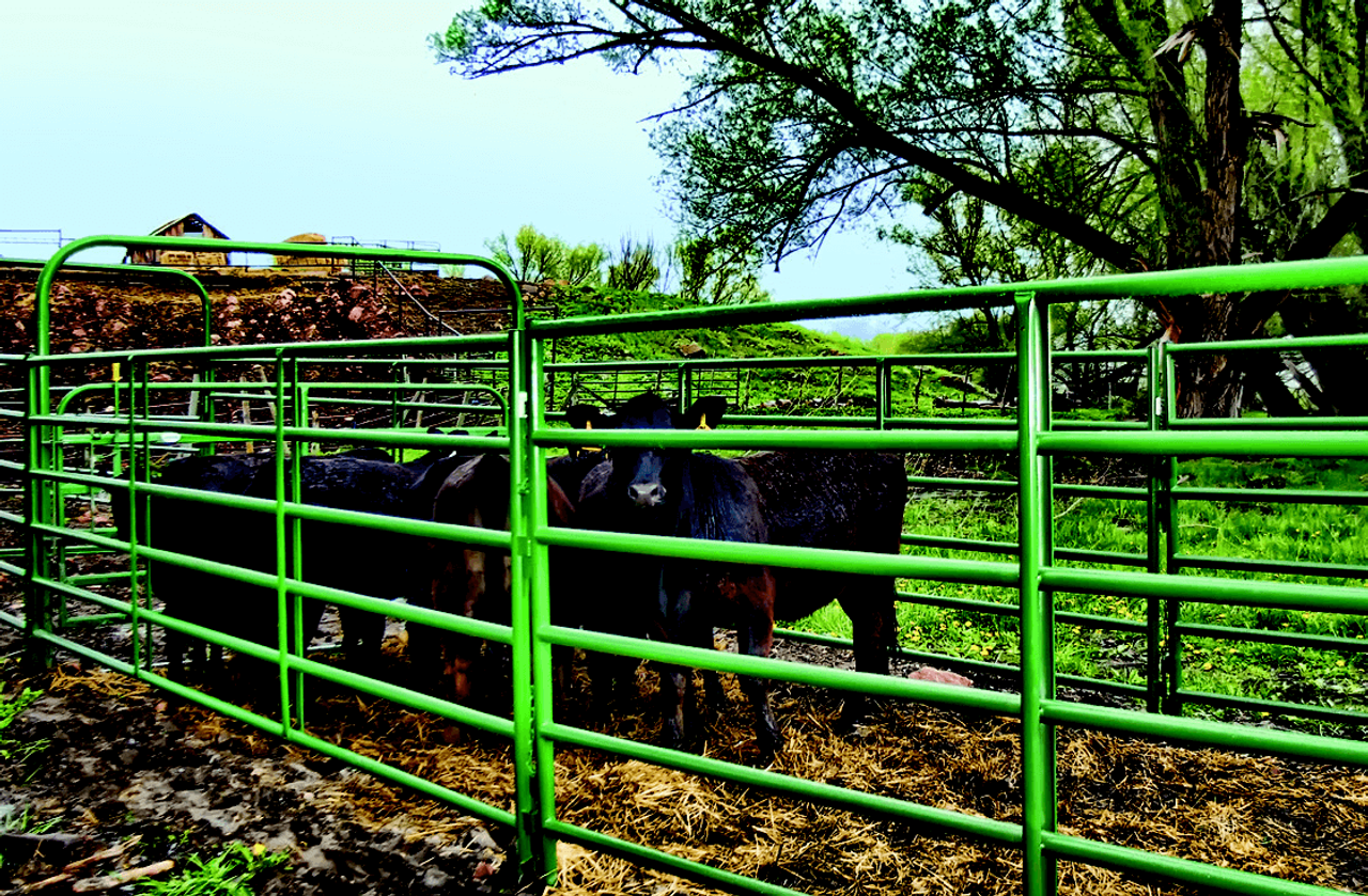 Powder River Rancher Panel