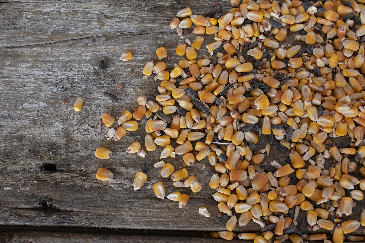 Big Tine® Fortified Deer Blend Cherry 40lb
BT40