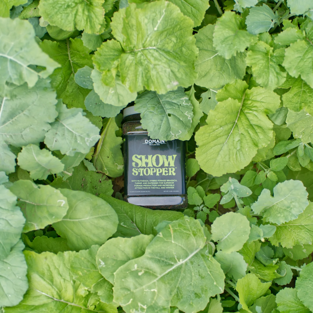 Domain® Show Stopper™ 3lb Jar